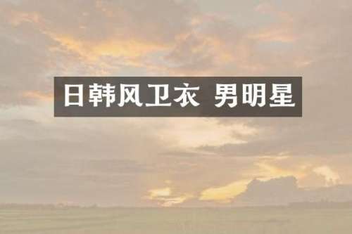 日韩风卫衣 男明星
