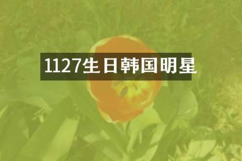 1127生日韩国明星