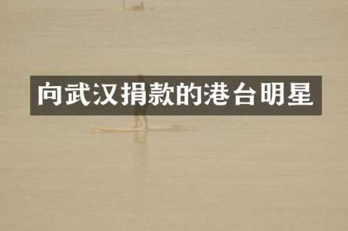 向武汉捐款的港台明星