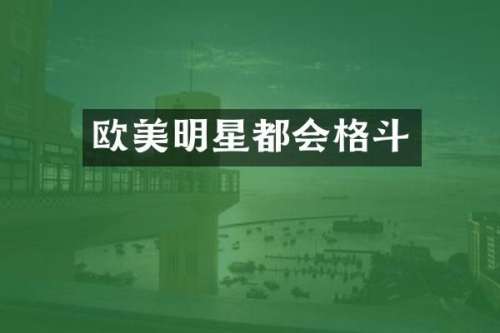 欧美明星都会格斗