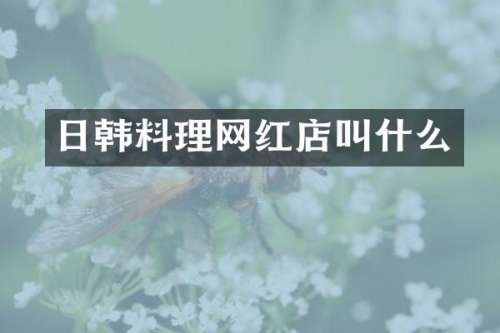 日韩料理网红店叫什么
