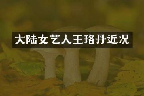 大陆女艺人王珞丹近况