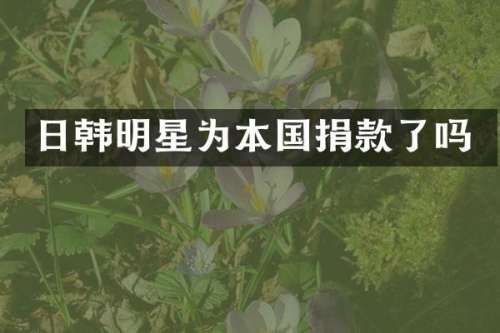 日韩明星为本国捐款了吗