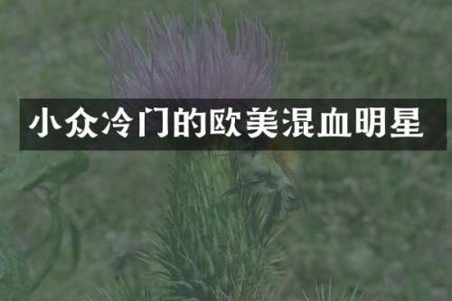 小众冷门的欧美混血明星