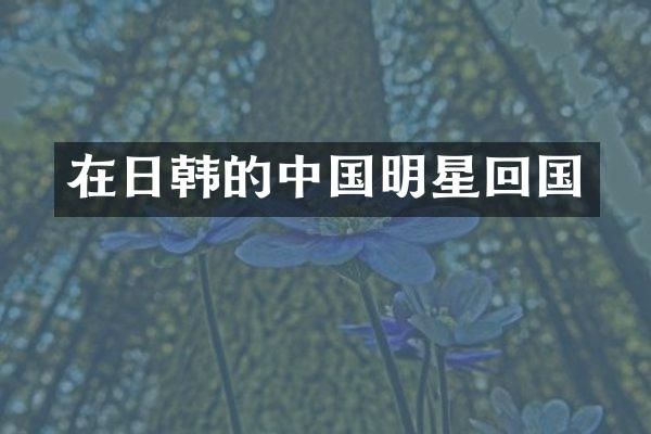 在日韩的中国明星回国
