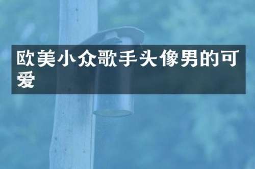 欧美小众歌手头像男的可爱