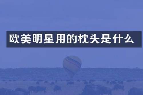 欧美明星用的枕头是什么