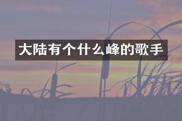 大陆有个什么峰的歌手