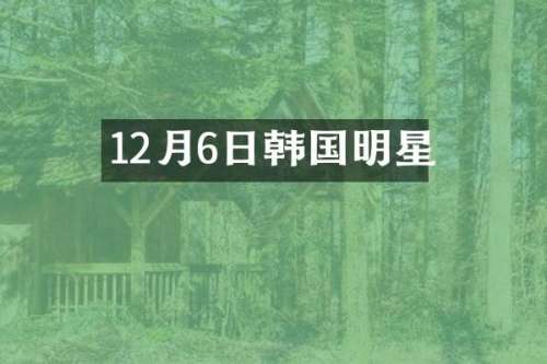 12月6日韩国明星
