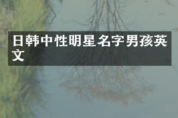 日韩中性明星名字男孩英文