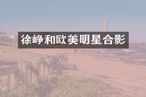 徐峥和欧美明星合影