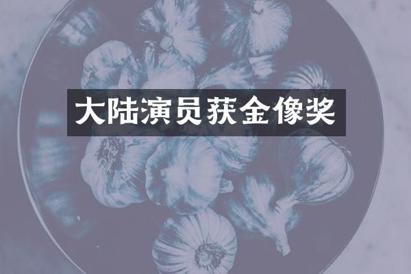 大陆演员获金像奖