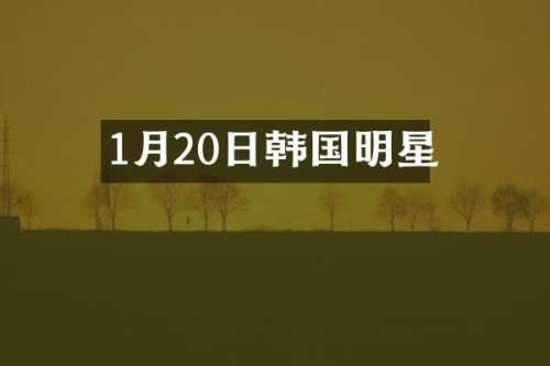 1月20日韩国明星