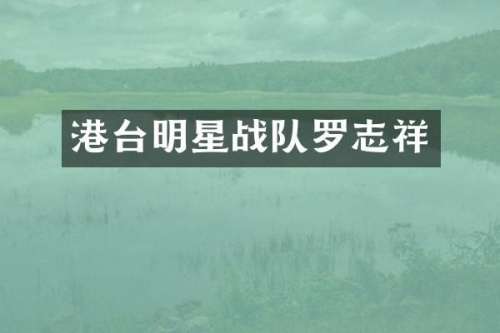 港台明星战队罗志祥