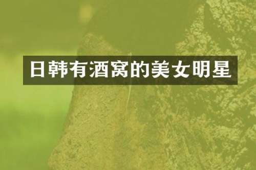 日韩有酒窝的明星