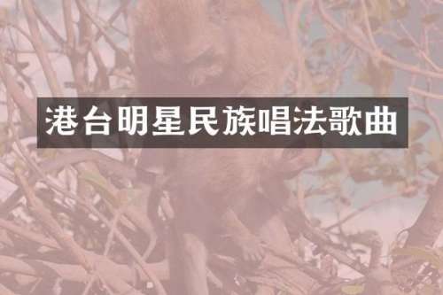 港台明星唱法歌曲
