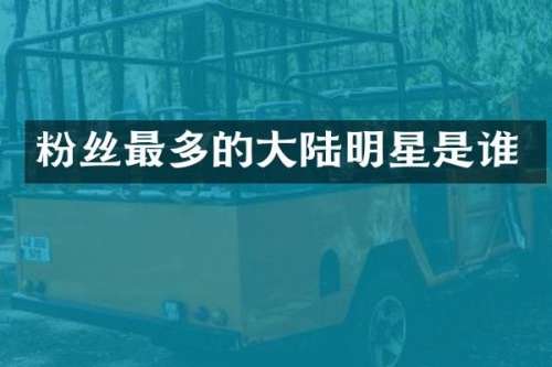 粉丝最多的大陆明星是谁