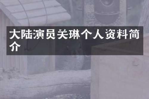 大陆演员关琳个人资料简介