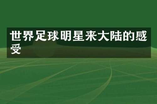 世界足球明星来大陆的感受