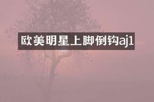 欧美明星上脚倒钩aj1