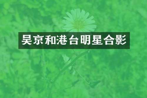 吴京和港台明星合影