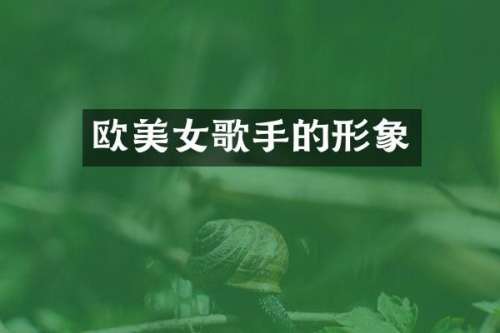 欧歌手的形象