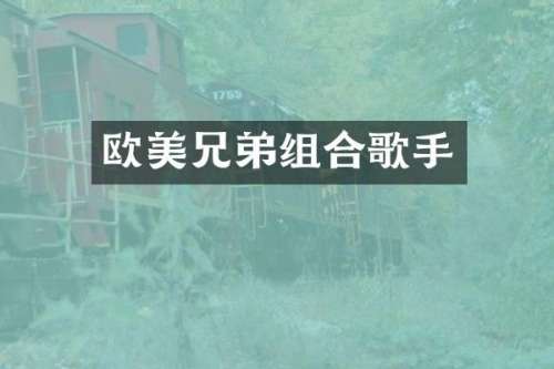 欧美兄弟组合歌手