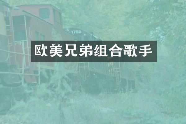 欧美兄弟组合歌手