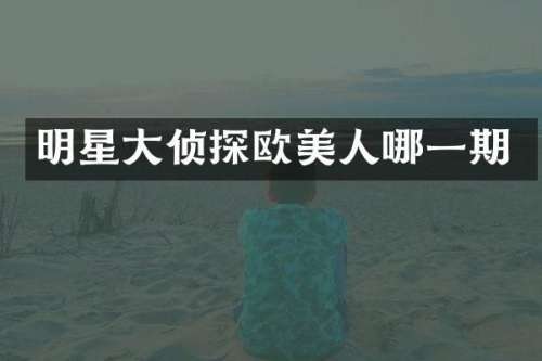 明星大侦探欧美人哪一期