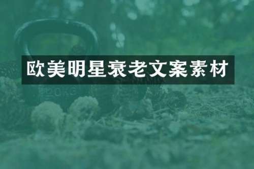 欧美明星衰老文案素材