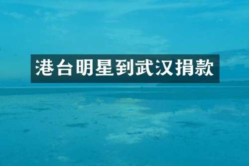 港台明星到武汉捐款