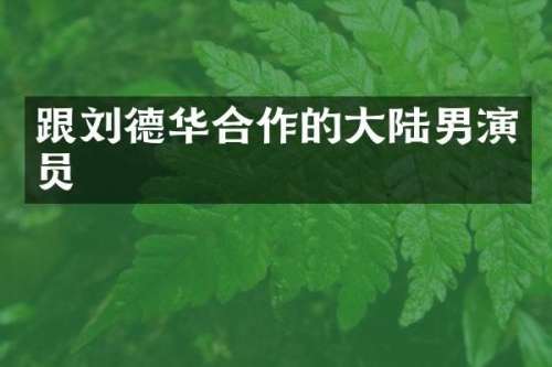 跟刘德华合作的大陆男演员
