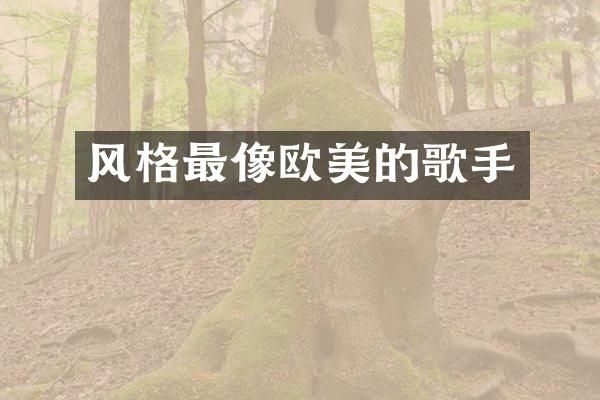 风格最像欧美的歌手