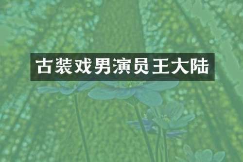 古装戏男演员王大陆
