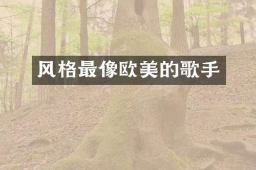风格最像欧美的歌手