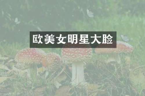 欧明星大脸