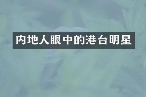 内地人眼中的港台明星