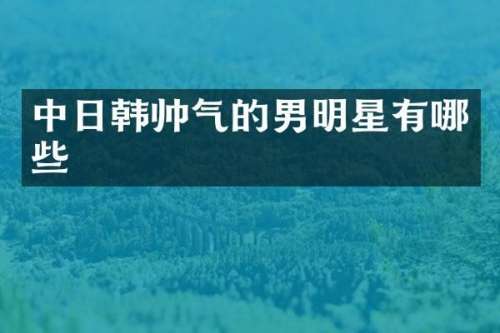中日韩帅气的男明星有哪些