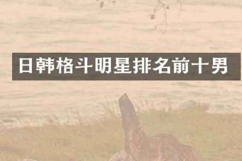 日韩格斗明星排名前十男
