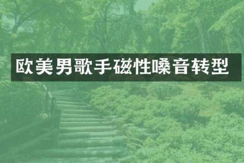 欧美男歌手磁性嗓音转型