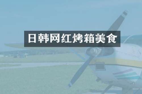 日韩网红烤箱美食