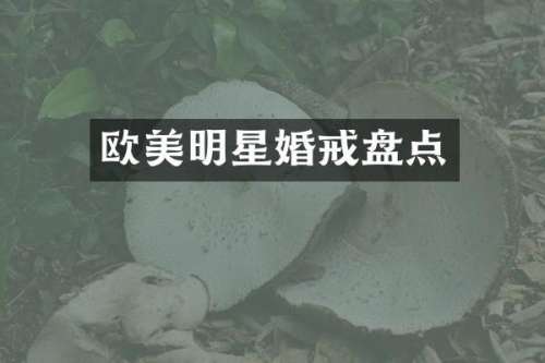 欧美明星婚戒盘点