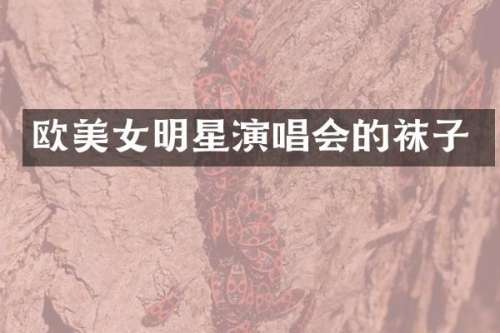 欧明星演唱会的袜子