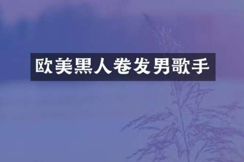 欧美黑人卷发男歌手