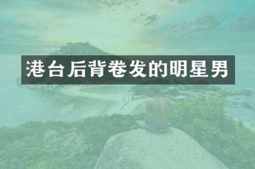 港台后背卷发的明星男