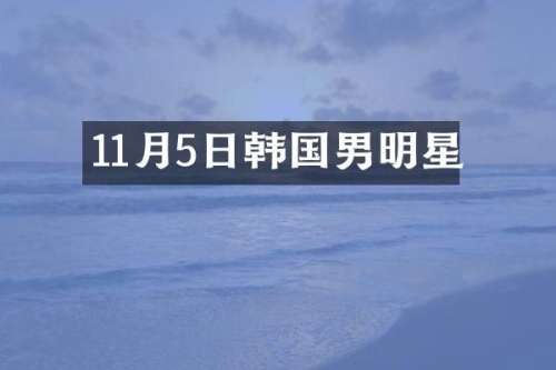 11月5日韩国男明星