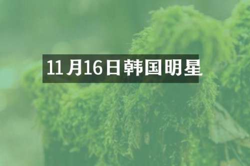 11月16日韩国明星