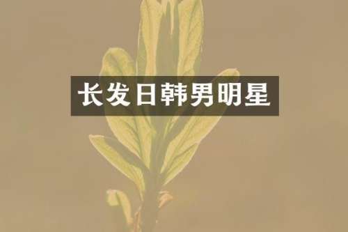 长发日韩男明星
