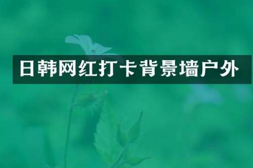 日韩网红打卡背景墙户外