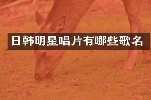 日韩明星唱片有哪些歌名